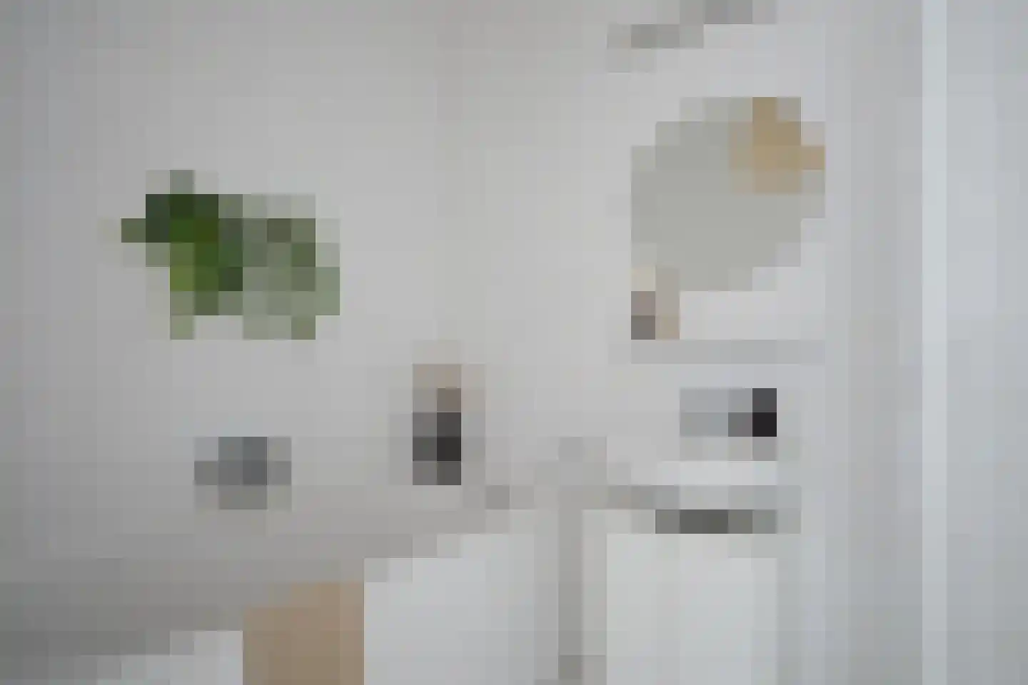 Veilingstraat 69 Utrecht thumbnail 16