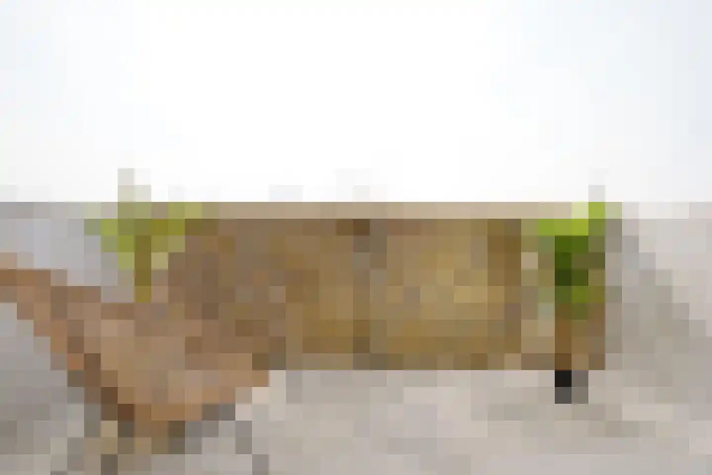Veilingstraat 69 Utrecht thumbnail 21
