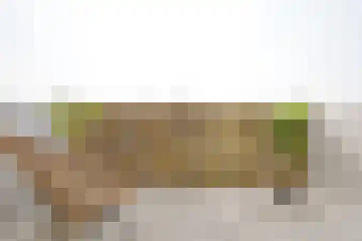 Veilingstraat 69 Utrecht thumbnail 21