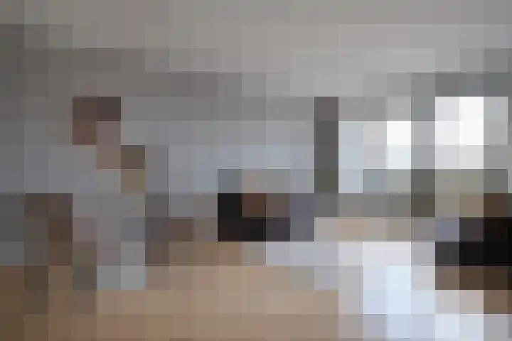 Veilingstraat 69 Utrecht thumbnail 5