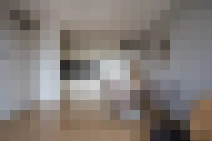 Veilingstraat 69 Utrecht thumbnail 7