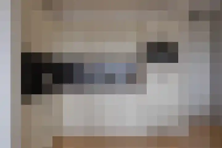 Veilingstraat 69 Utrecht thumbnail 8