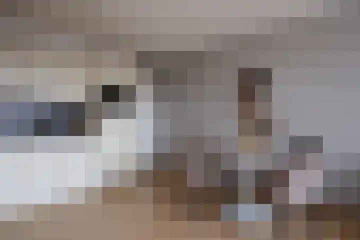 Veilingstraat 69 Utrecht thumbnail 9