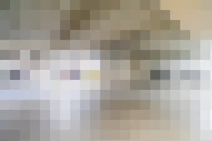 Veilingstraat 93 Utrecht thumbnail 31