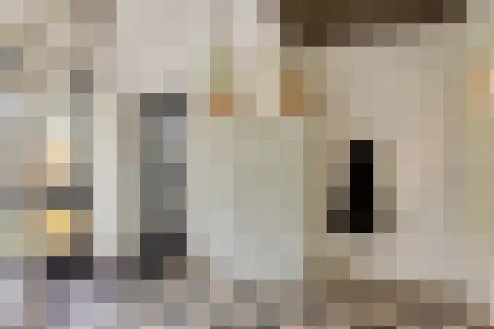 Veilingweg 20 Tuitjenhorn thumbnail 12