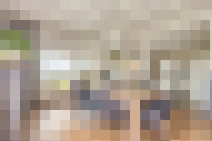 Veilingweg 20 Tuitjenhorn thumbnail 17