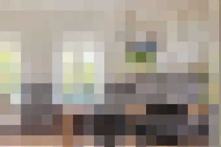 Veilingweg 20 Tuitjenhorn thumbnail 20