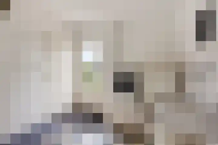 Veilingweg 20 Tuitjenhorn thumbnail 31