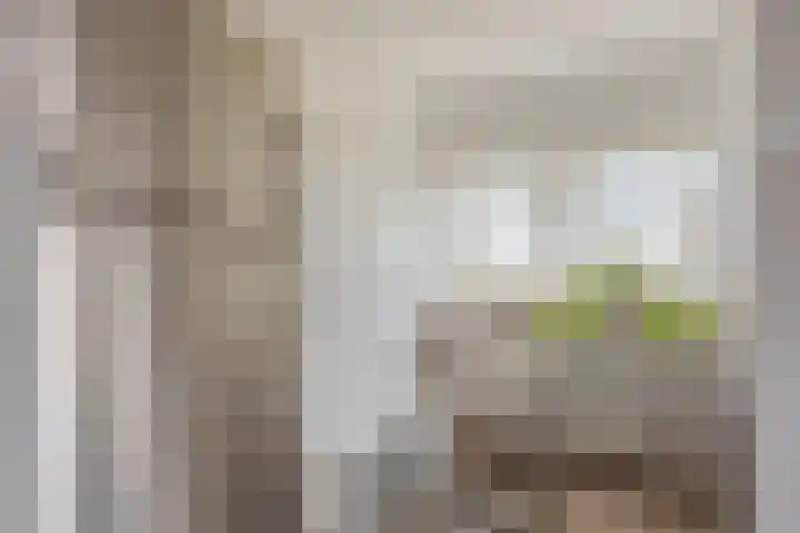 Veilingweg 20 Tuitjenhorn thumbnail 32