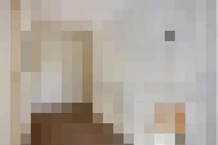 Veilingweg 20 Tuitjenhorn thumbnail 33