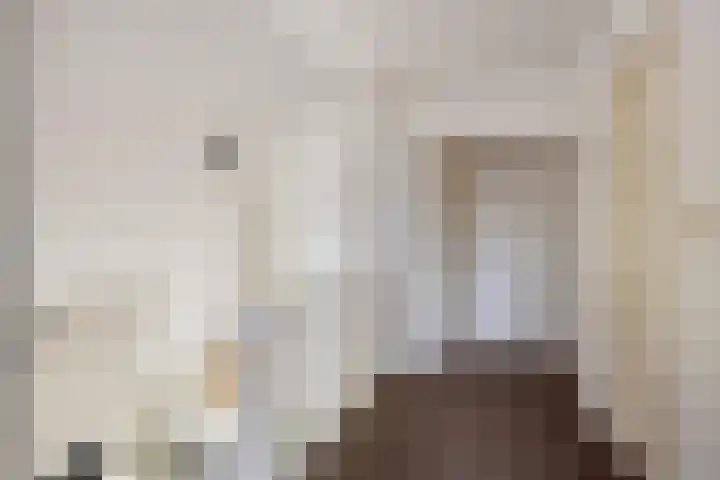 Veilingweg 20 Tuitjenhorn thumbnail 34