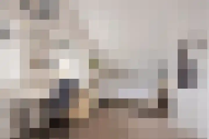 Veilingweg 20 Tuitjenhorn thumbnail 36