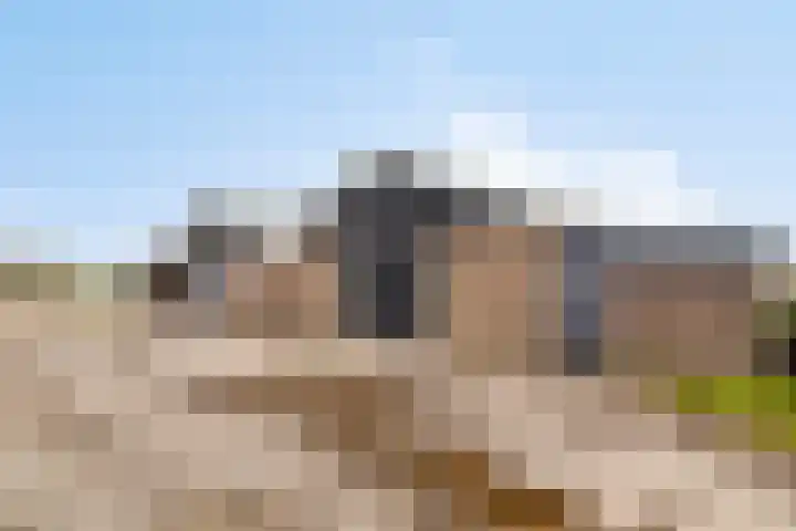Veilingweg 20 Tuitjenhorn thumbnail 4
