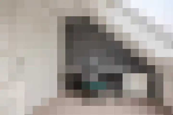 Veilingweg 20 Tuitjenhorn thumbnail 42