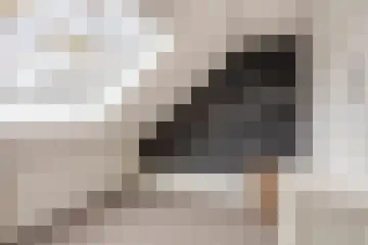 Veilingweg 20 Tuitjenhorn thumbnail 43
