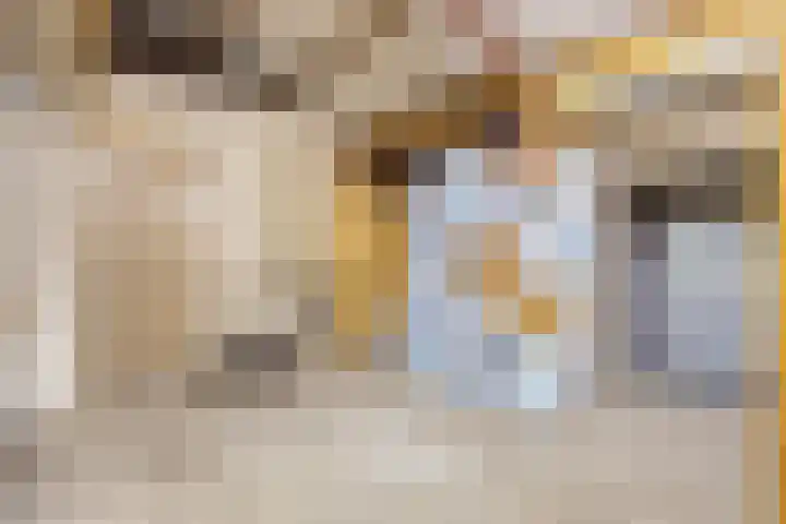 Veilingweg 20 Tuitjenhorn thumbnail 46