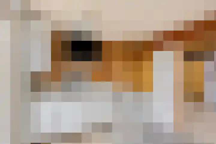 Veilingweg 20 Tuitjenhorn thumbnail 48