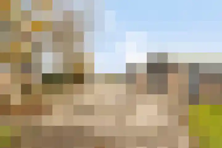 Veilingweg 20 Tuitjenhorn thumbnail 5
