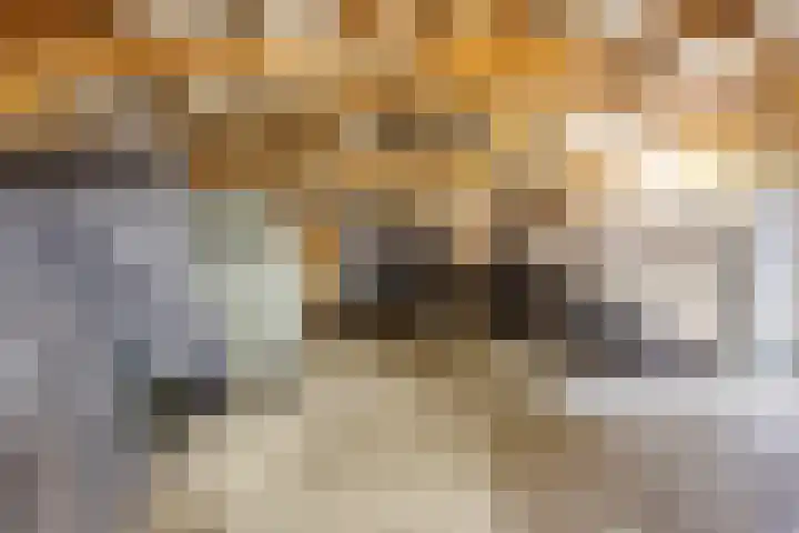 Veilingweg 20 Tuitjenhorn thumbnail 51