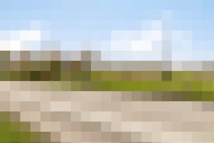 Veilingweg 20 Tuitjenhorn thumbnail 53