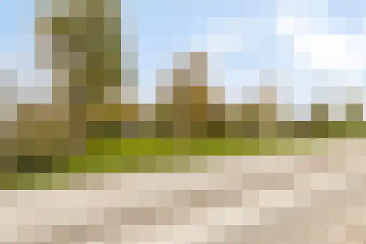 Veilingweg 20 Tuitjenhorn thumbnail 55