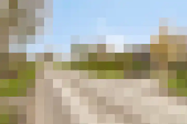Veilingweg 20 Tuitjenhorn thumbnail 57