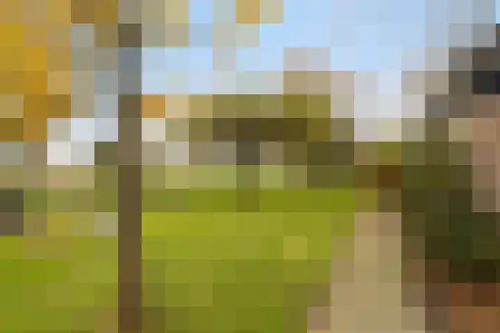 Veilingweg 20 Tuitjenhorn thumbnail 59