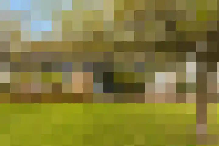 Veilingweg 20 Tuitjenhorn thumbnail 61