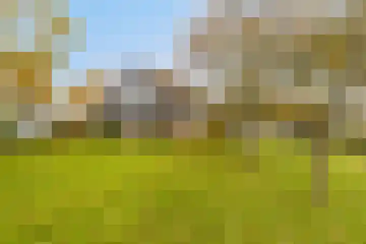 Veilingweg 20 Tuitjenhorn thumbnail 62
