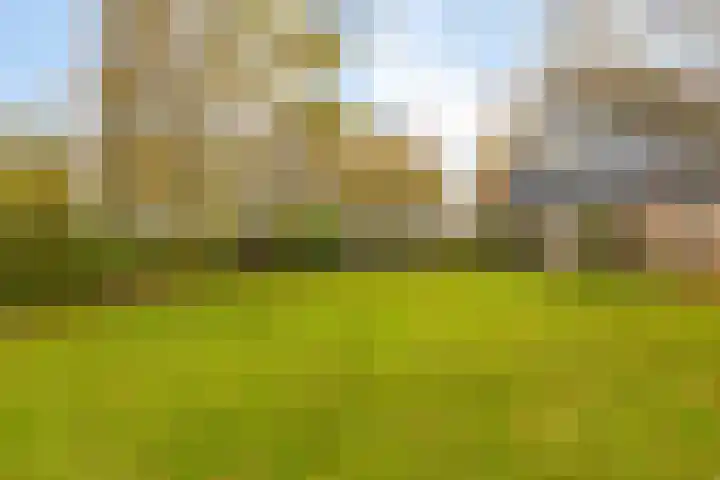 Veilingweg 20 Tuitjenhorn thumbnail 63