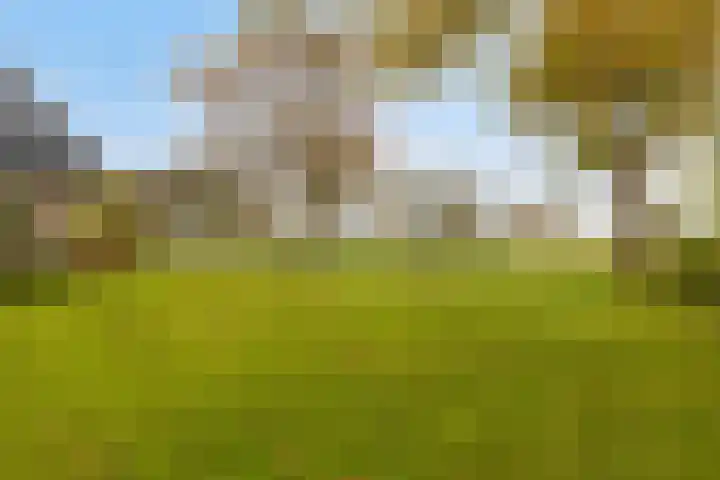 Veilingweg 20 Tuitjenhorn thumbnail 64