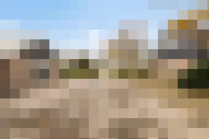 Veilingweg 20 Tuitjenhorn thumbnail 66