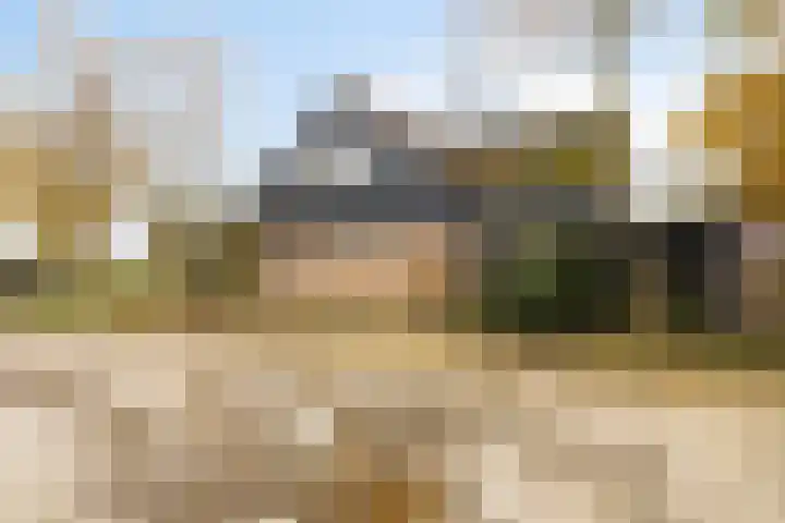 Veilingweg 20 Tuitjenhorn thumbnail 67