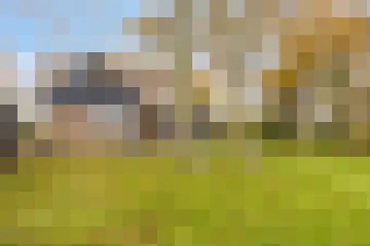 Veilingweg 20 Tuitjenhorn thumbnail 68