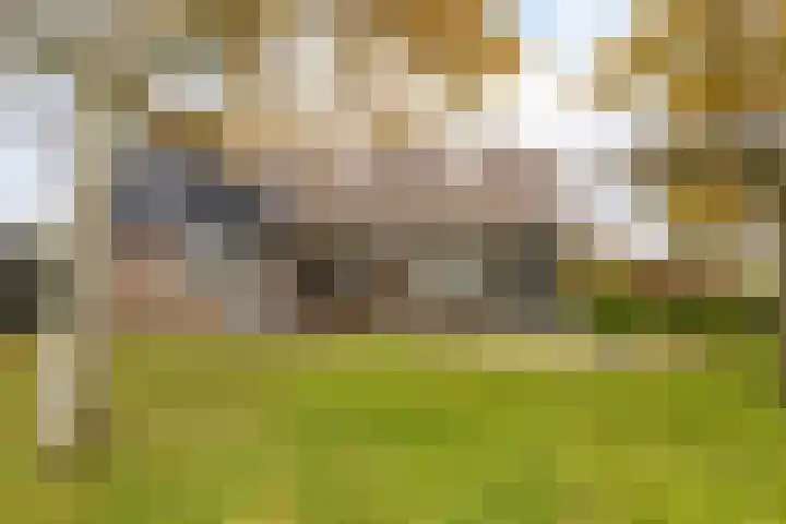 Veilingweg 20 Tuitjenhorn thumbnail 69