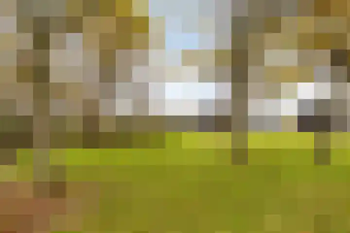 Veilingweg 20 Tuitjenhorn thumbnail 70