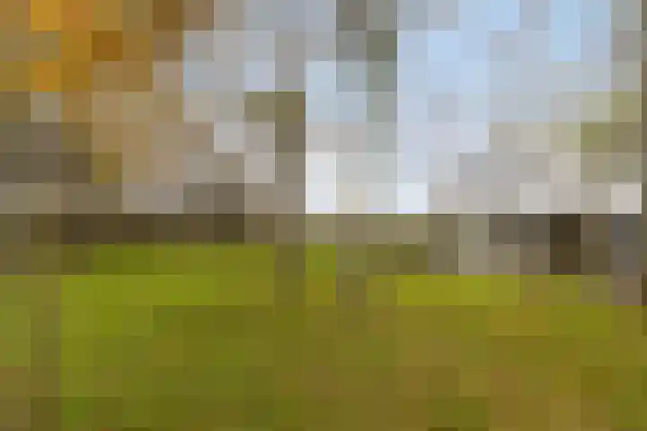 Veilingweg 20 Tuitjenhorn thumbnail 72