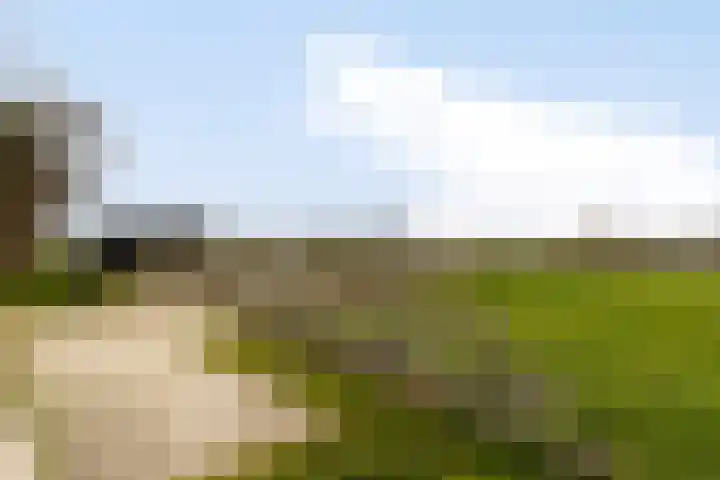 Veilingweg 20 Tuitjenhorn thumbnail 73