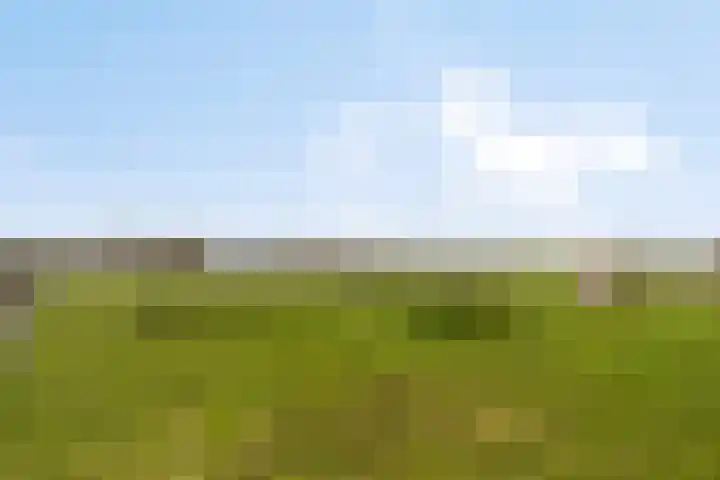 Veilingweg 20 Tuitjenhorn thumbnail 74