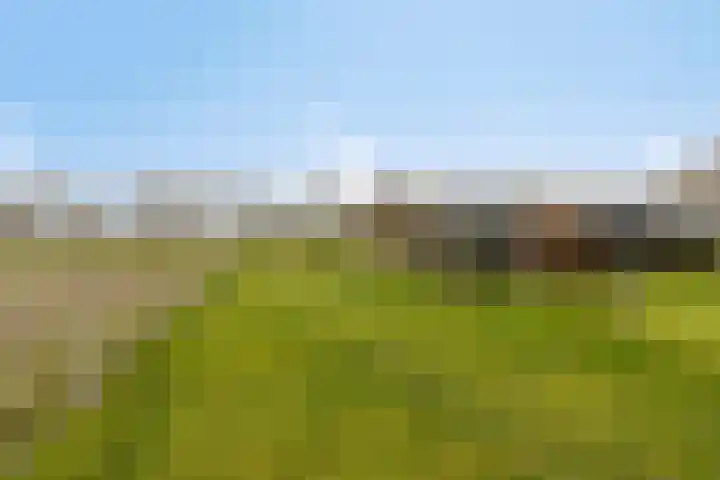 Veilingweg 20 Tuitjenhorn thumbnail 75