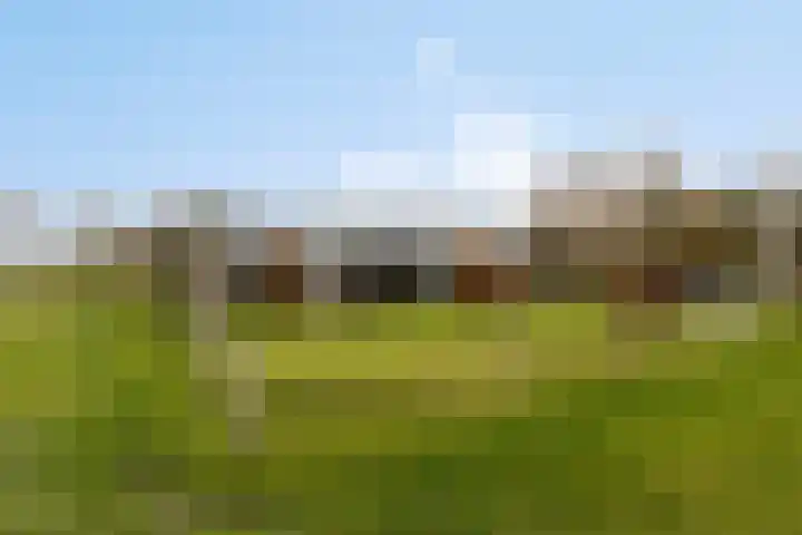 Veilingweg 20 Tuitjenhorn thumbnail 76