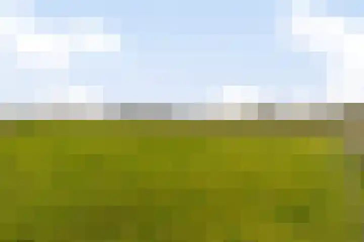 Veilingweg 20 Tuitjenhorn thumbnail 77