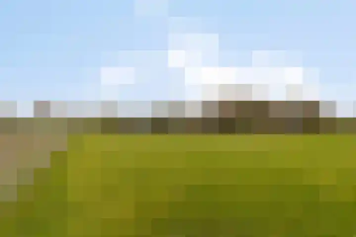 Veilingweg 20 Tuitjenhorn thumbnail 78