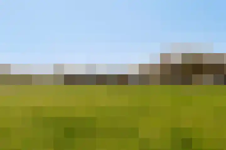 Veilingweg 20 Tuitjenhorn thumbnail 79