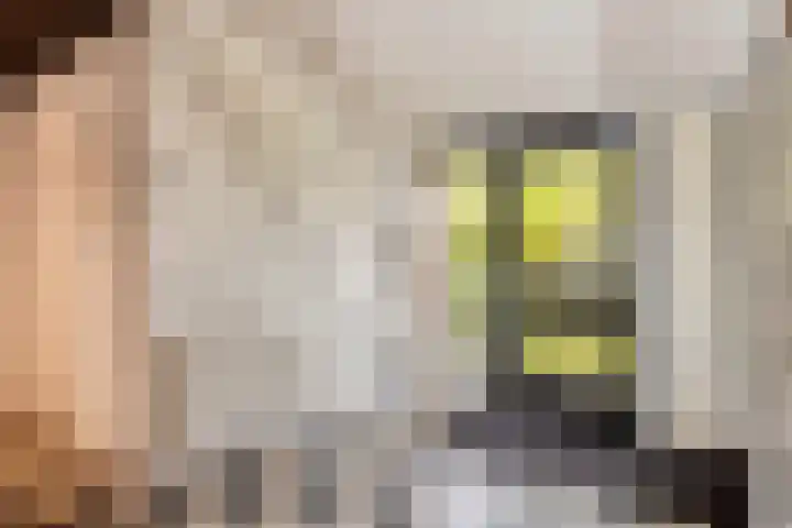 Veilingweg 20 Tuitjenhorn thumbnail 8