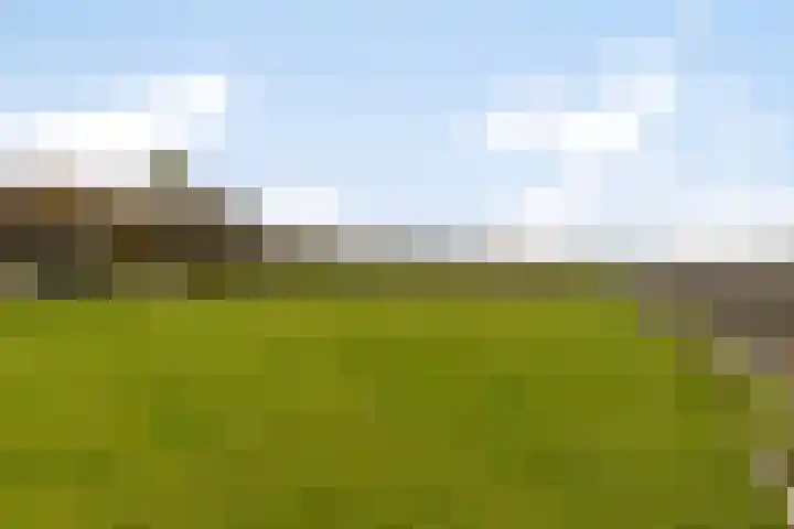 Veilingweg 20 Tuitjenhorn thumbnail 80