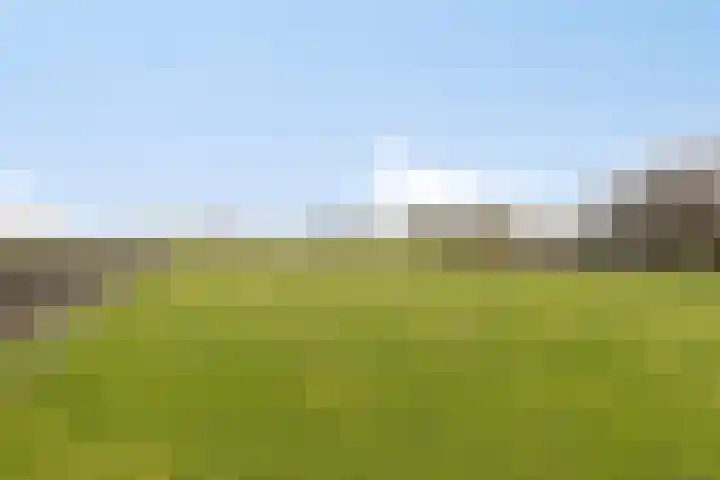 Veilingweg 20 Tuitjenhorn thumbnail 81
