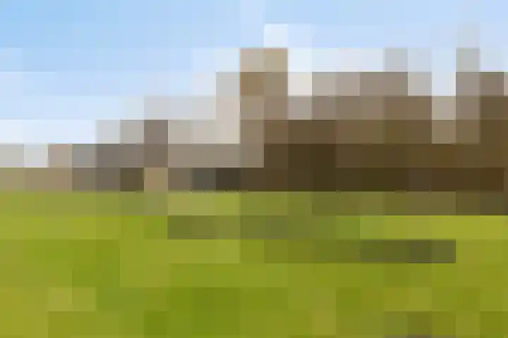 Veilingweg 20 Tuitjenhorn thumbnail 84