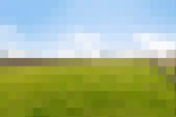 Veilingweg 20 Tuitjenhorn thumbnail 85