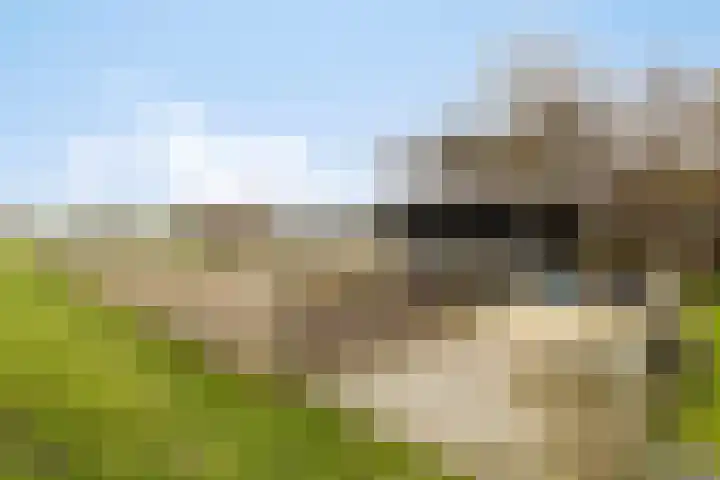 Veilingweg 20 Tuitjenhorn thumbnail 86